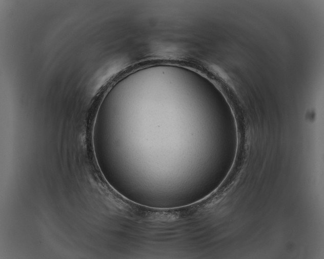 X0000089921307200707061011