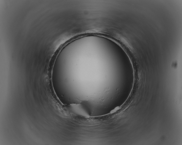 X0000089921308200707061011