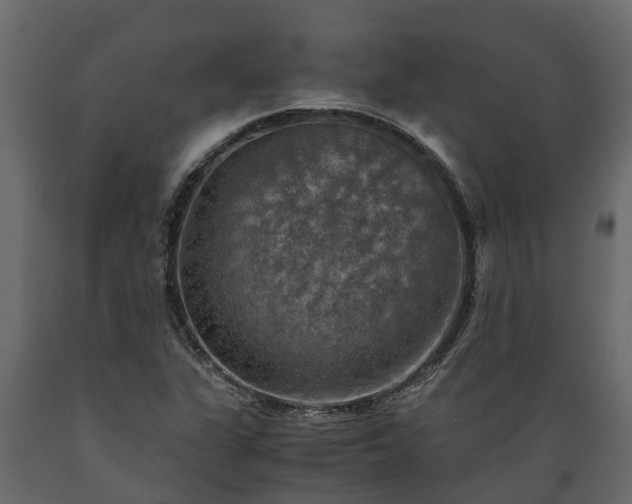 X0000089921311200707061011