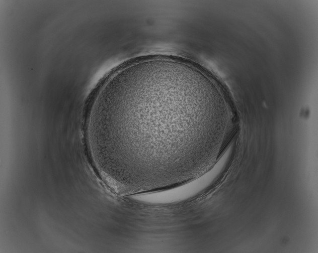 X0000089921312200707061011