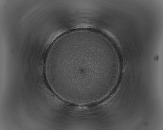 X0000089921313200707061011