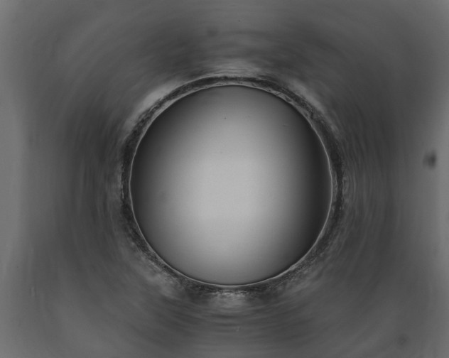X0000089921315200707061011