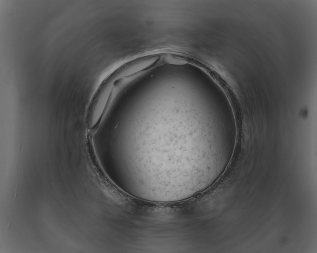X0000089921316200707061011