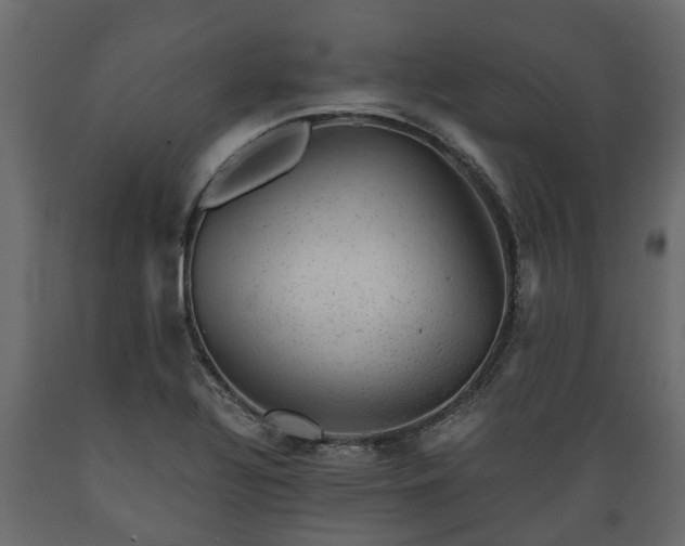 X0000089921320200707061011