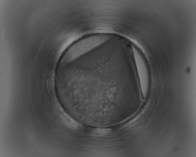 X0000089921325200707061011