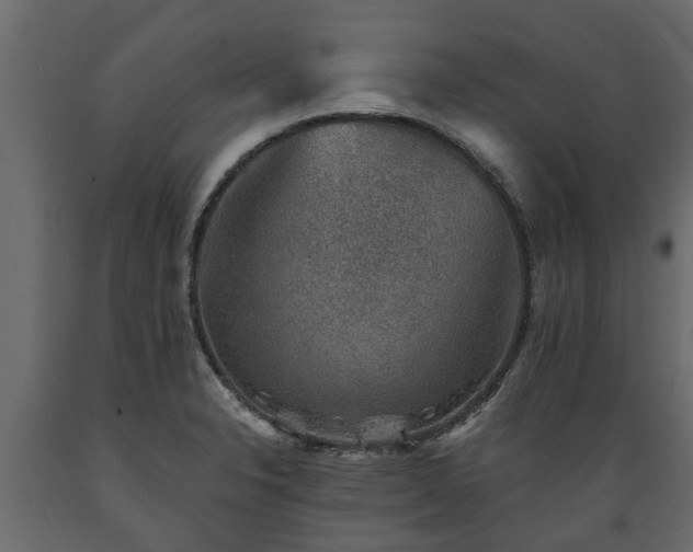 X0000089921326200707061011