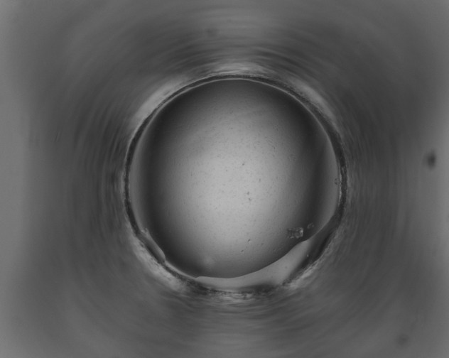 X0000089921330200707061011