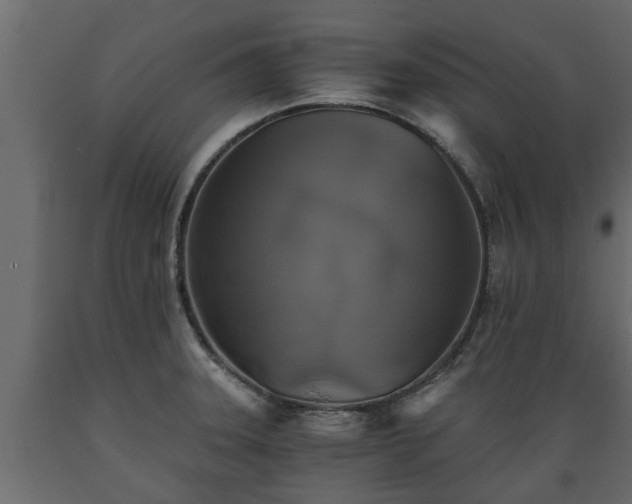X0000089921331200707061011
