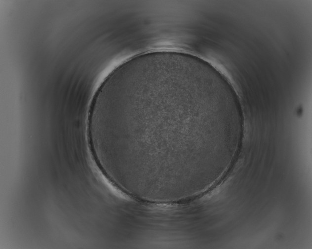 X0000089921333200707061011