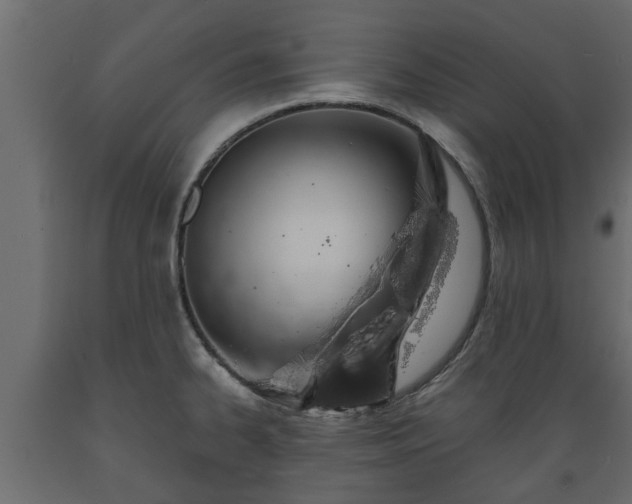 X0000089921334200707061011