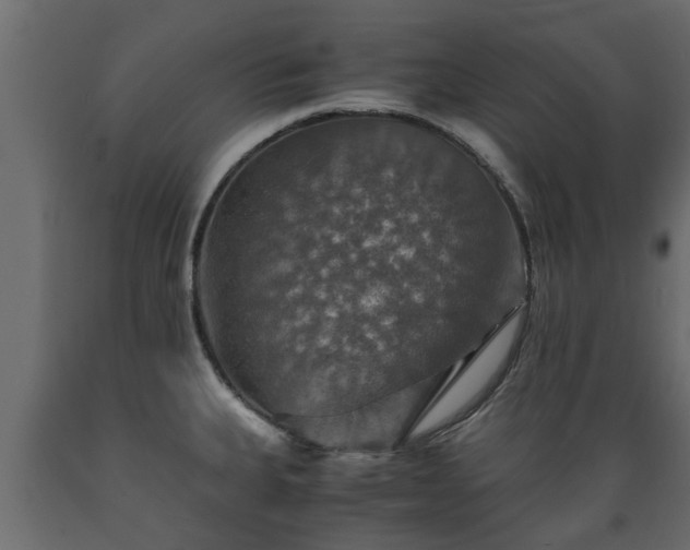 X0000089921335200707061011