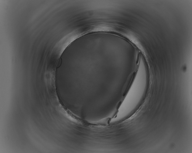 X0000089921337200707061011