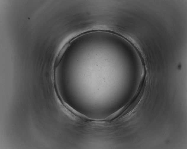 X0000089921342200707061011