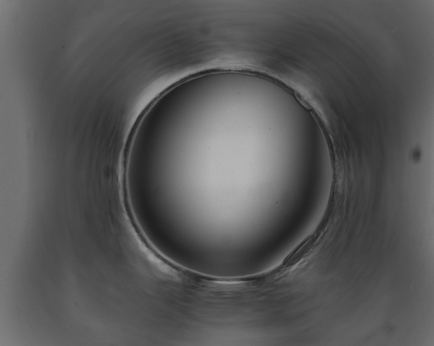 X0000089921343200707061011