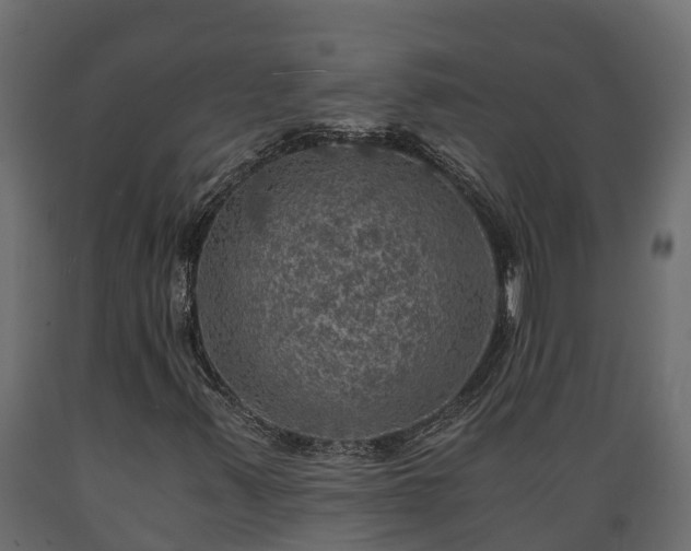 X0000089921347200707061011