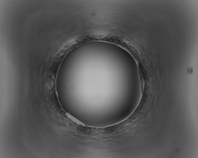 X0000089921349200707061011
