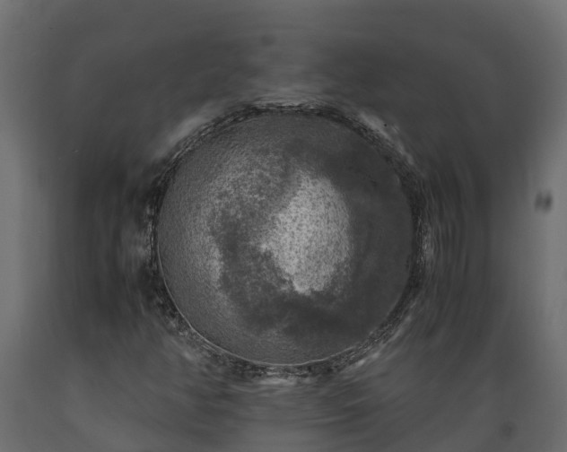 X0000089921350200707061011