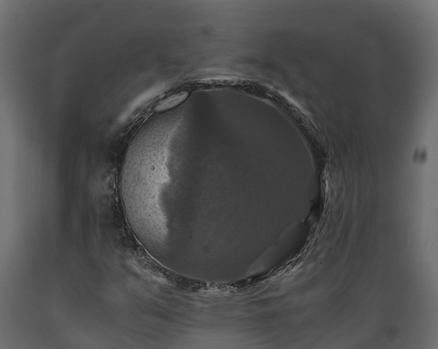 X0000089921351200707061011