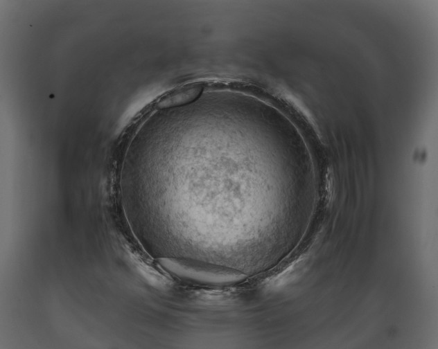 X0000089921352200707061011