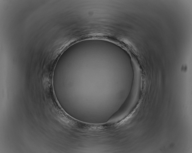 X0000089921353200707061011