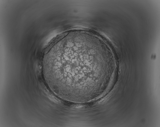X0000089921355200707061011