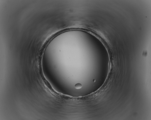 X0000089921356200707061011