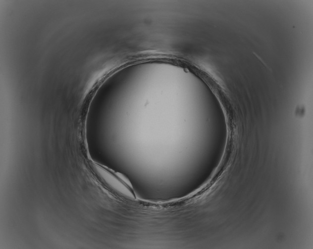 X0000089921357200707061011