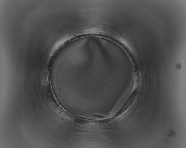 X0000089921358200707061011