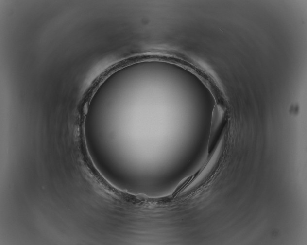 X0000089921360200707061011