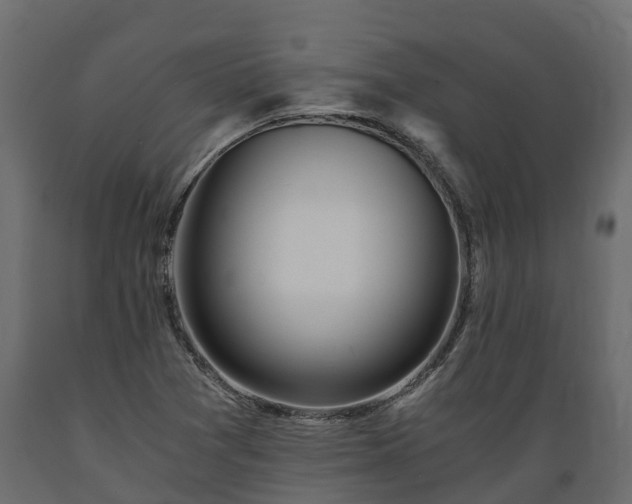 X0000089921361200707061011