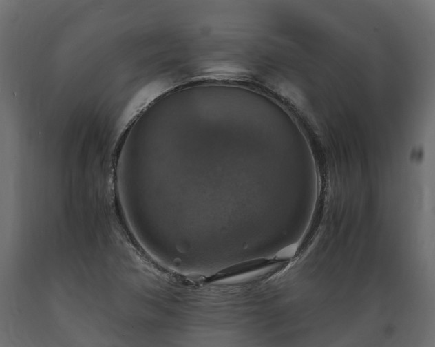 X0000089921362200707061011