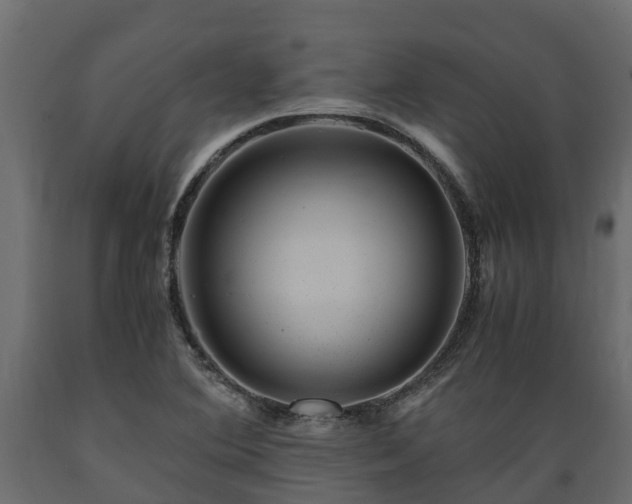 X0000089921364200707061011