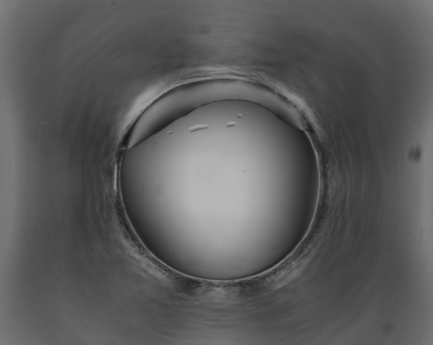 X0000089921365200707061011