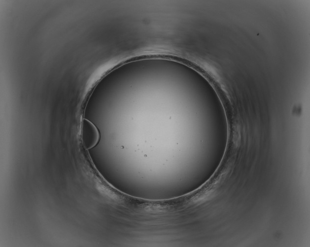 X0000089921366200707061011