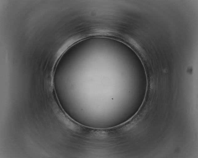 X0000089921370200707061011