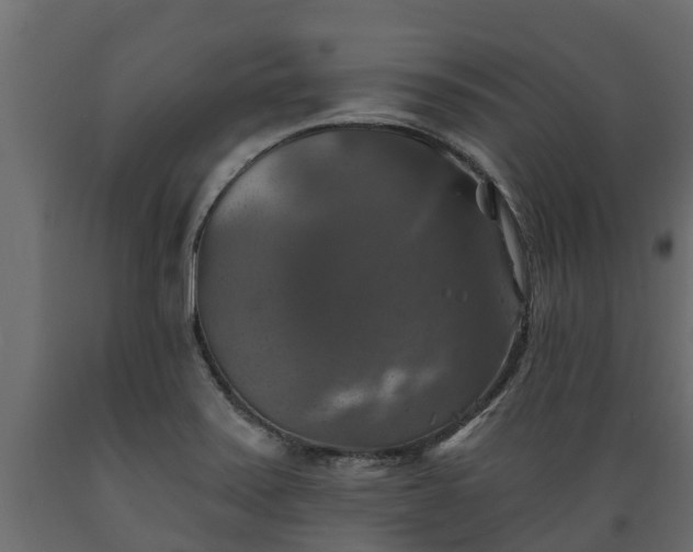 X0000089921371200707061011