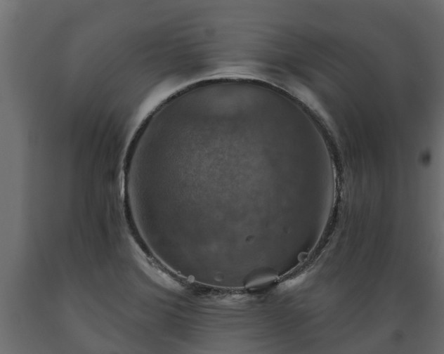 X0000089921372200707061010