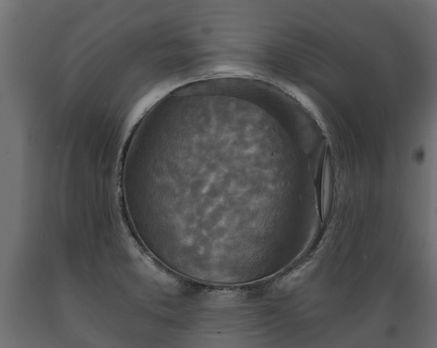 X0000089921373200707061010