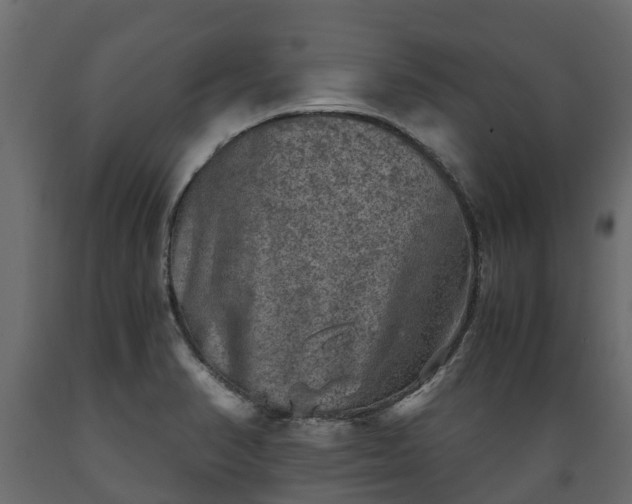 X0000089921374200707061010