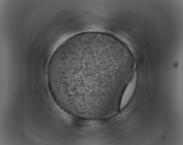 X0000089921375200707061010
