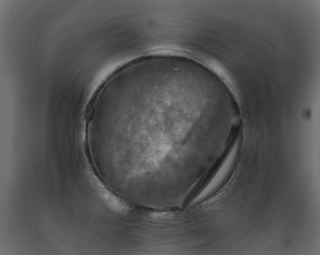 X0000089921376200707061010