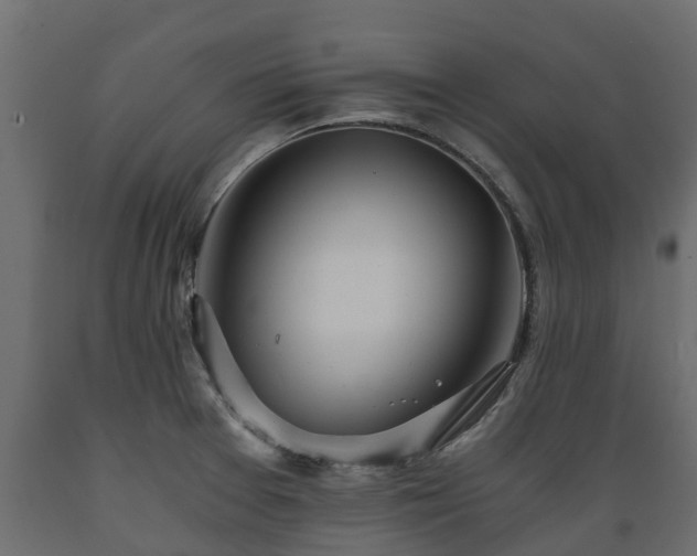 X0000089921377200707061010