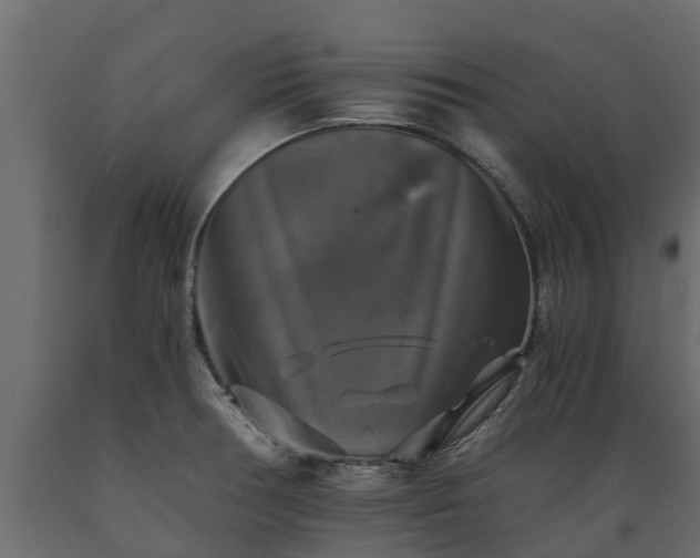 X0000089921378200707061010