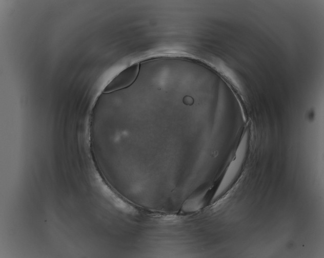 X0000089921382200707061010
