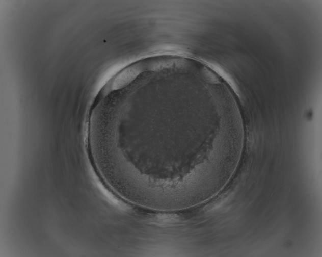X0000089921383200707061010