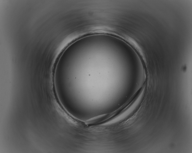 X0000089921384200707061010
