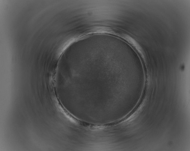 X0000089921385200707061010