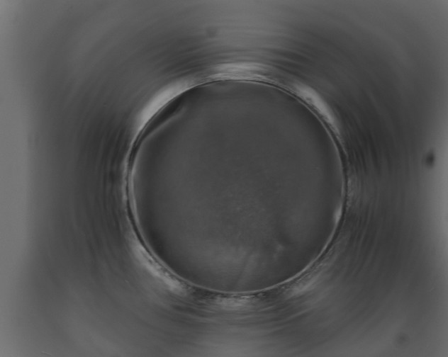 X0000089921386200707061010