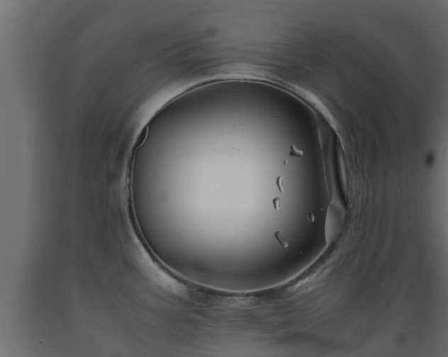 X0000089921387200707061010