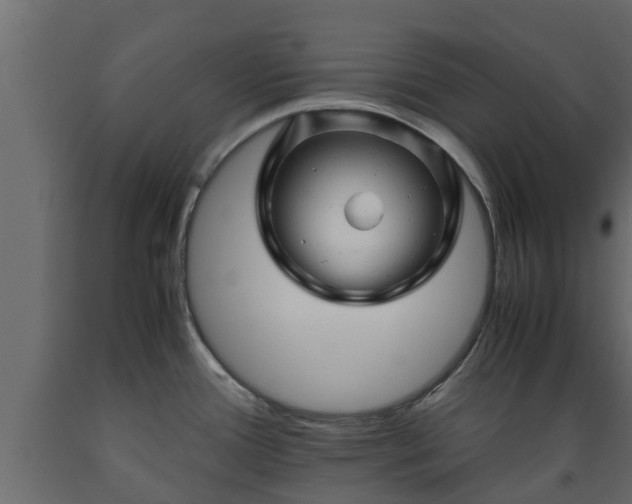 X0000089921388200707061010